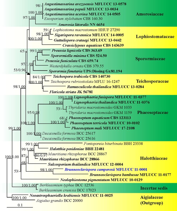 figure 39