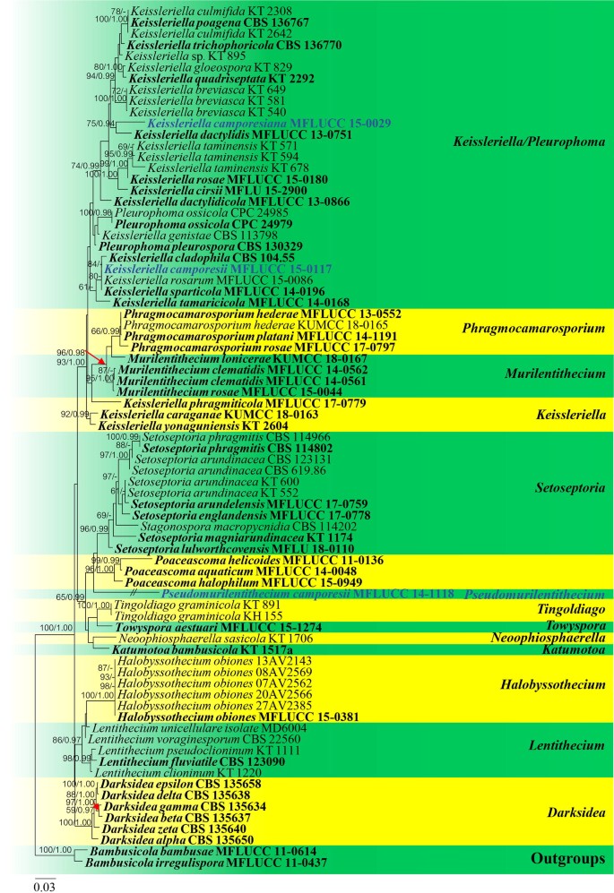 figure 43