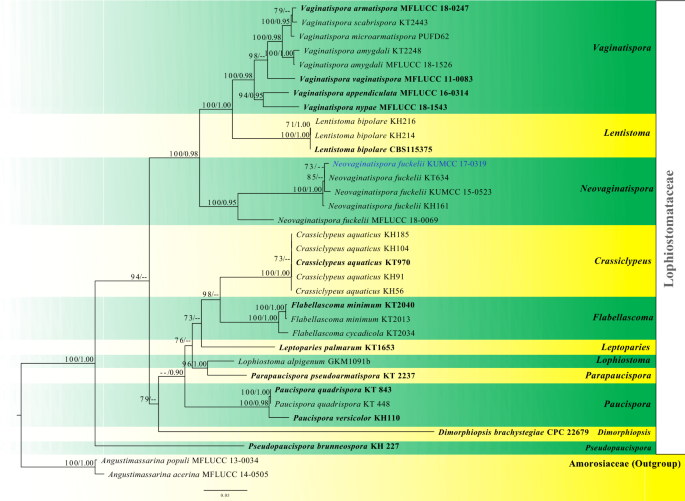 figure 47