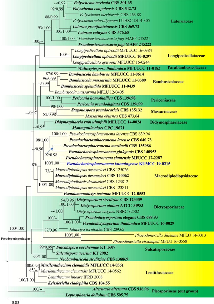 figure 49