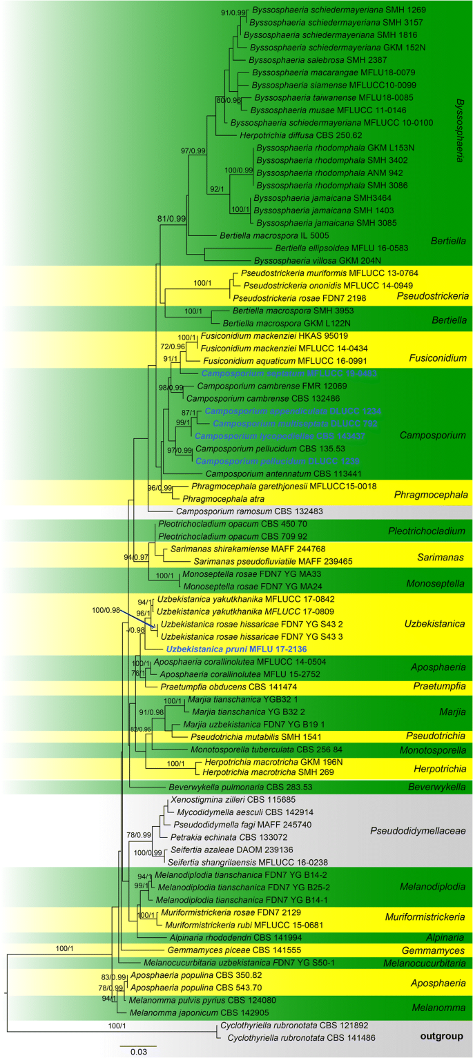 figure 55