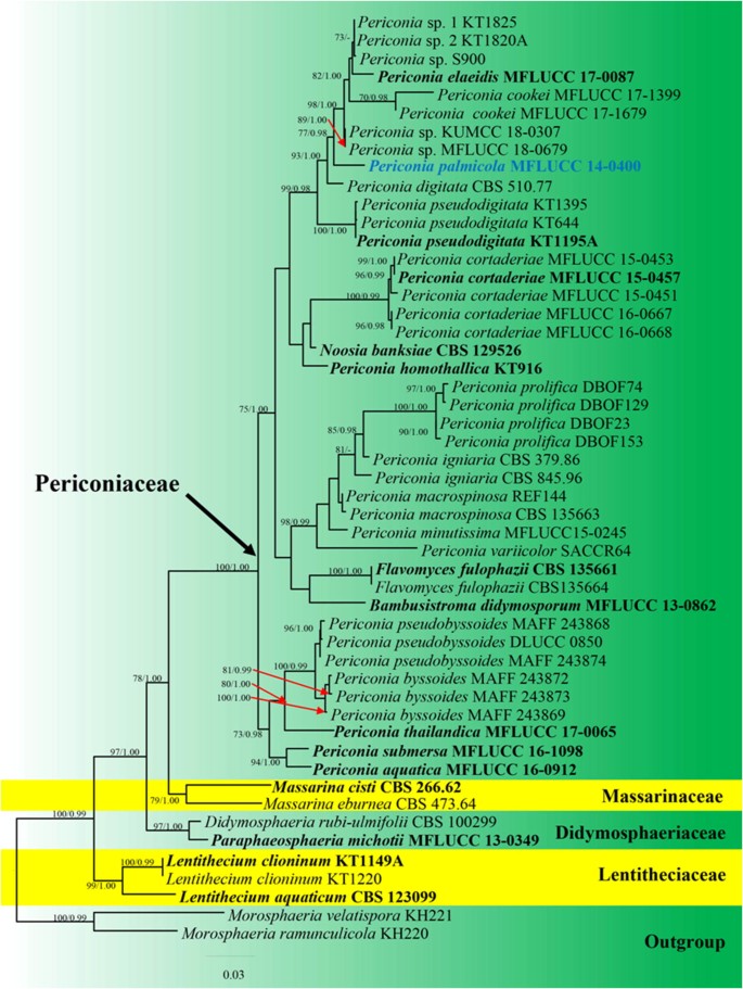 figure 61