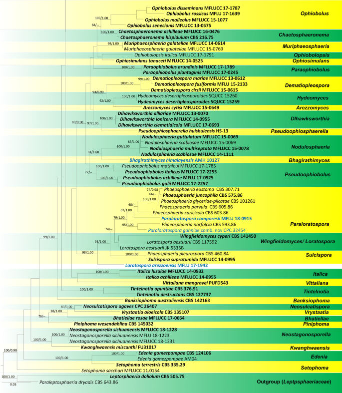 figure 70