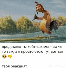 a picture of a rooster on a surfboard with a caption in a foreign language