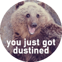 a picture of a bear with the words " you just got dustined " on it