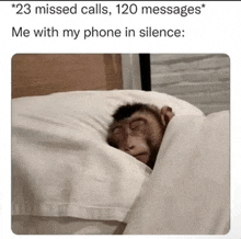 a monkey is sleeping on a bed with a caption that says " 23 missed calls 120 messages "