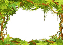 a jungle frame with lots of leaves and branches on a white background .