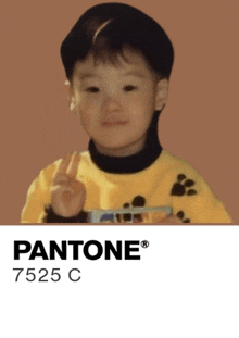 a picture of a little boy with pantone written on it