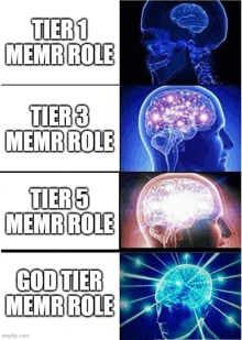 a cartoon of a person 's brain with the words tier 1 memr role tier 3 memr role tier 5 memr role