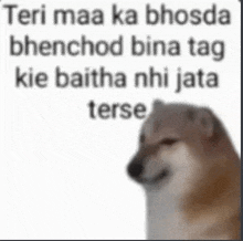 Teri-maa-ka-bhos Meme