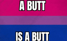 a pink , purple , and blue flag with the words `` a butt is a butt '' on it .