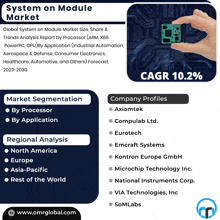 a flyer for a system on module market