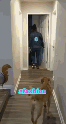 a dog walking down a hallway with the word fashion written on the wall