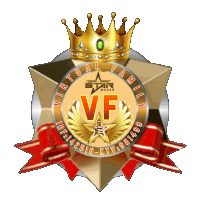 a medal with a crown and the words virtual family on it