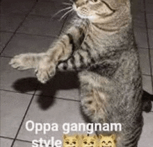 a cat is standing on its hind legs on a tiled floor with a caption that says `` oppa gangnam style '' .