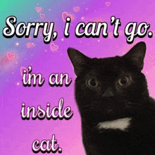 a black cat on a purple background with the words sorry i can t go i 'm an inside cat