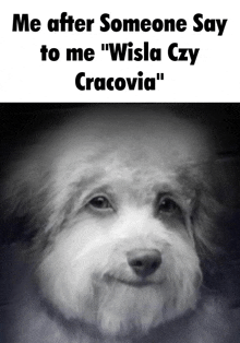 a black and white photo of a dog with the caption " me after someone say to me wisla czy cracovia "