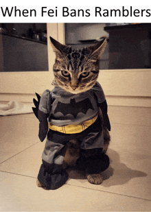 a cat dressed in a batman costume is sitting on the floor