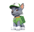 rocky from paw patrol is wearing a green hat and a backpack .