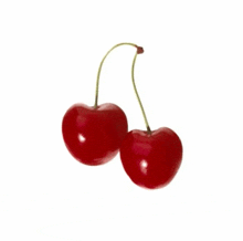 two cherries on a white background with a green stem