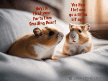 two hamsters are sitting on a bed and one says hey is that your farts i am smelling dear?