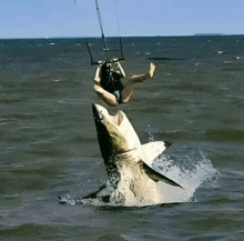 a woman is riding a kite on top of a shark .