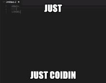 a screenshot of a program with the words just coidin at the bottom