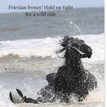 a picture of a horse on the beach with the caption friesian frenzy