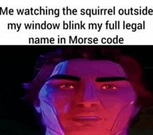 a man is watching the squirrel outside his window blink his full legal name in morse code