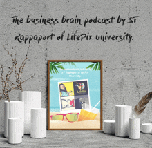 the business brain podcast by st rappaport of lifepix university