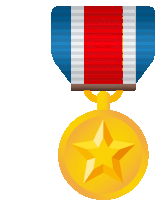 a gold medal with a red white and blue ribbon