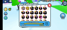 a screenshot of a game that says ' pet collection ' at the top