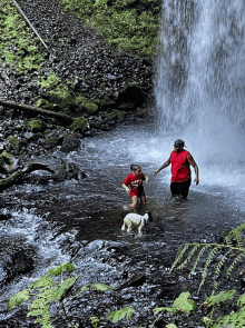 a man in a red shirt is standing in a stream with a child and a dog playing in the water