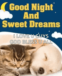 a dog and a kitten are sleeping next to each other with the words " good night and sweet dreams " written above them