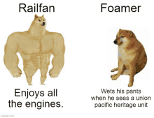 a picture of a dog with the words railfan and foamer on it