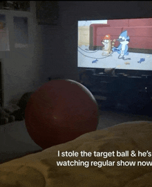 a person is watching a cartoon on a tv and they stole the target ball and he 's watching regular show now