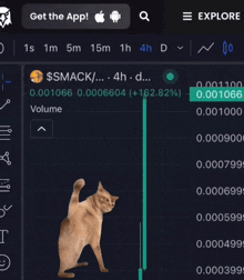 a cat is standing in front of a graph that says smack