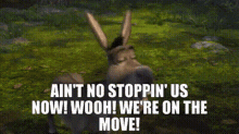 Shrek Donkey GIF