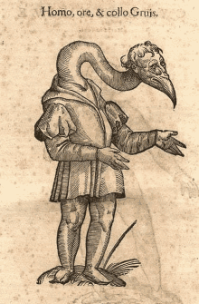 a black and white drawing of a man with a bird 's head and a long neck .