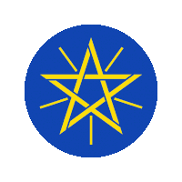 a blue circle with a yellow star on it