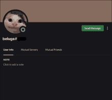 a screenshot of a user 's profile with a cat on it