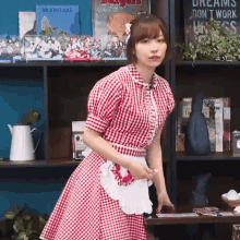 a woman in a red and white checkered dress is standing in front of a shelf with a book titled moon lake