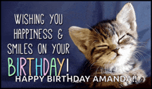 a birthday card with a cat and the words wishing you happiness & smiles on your birthday happy birthday amanda