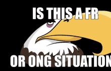 a bald eagle with the words " is this a fr or ong situation " above it