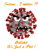 a cartoon of a virus with an angry face and the words bullshit it 's just a plot