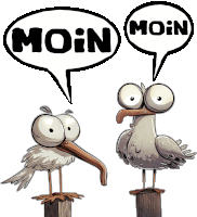 two seagulls are standing next to each other with a speech bubble saying moin