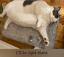 a cat laying on a blanket with the words " i 'll be right there " on the bottom