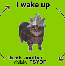 a cat wearing a tin foil hat with the words " i wake up there is another dollsky psyop "