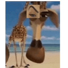 a giraffe with a square on its face that looks like a woman 's eyebrows