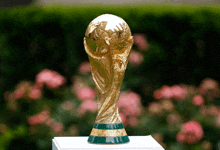 a trophy that says ' fifa world cup ' on it in front of pink flowers